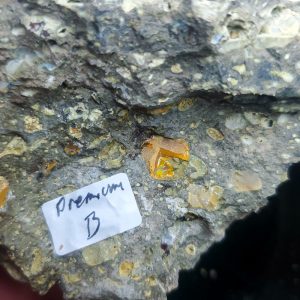 Premium Opal  B  from Video July 2026