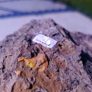 Premium Opal  D  from Video July 2026