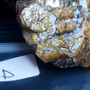 Bubbly Yellow/Amber Opal D