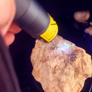 Uranium Ore Sample L
