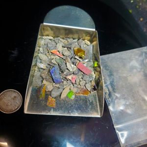 Ammolite Chips Grab Bag