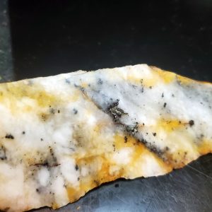 Golden Griffin Slab N