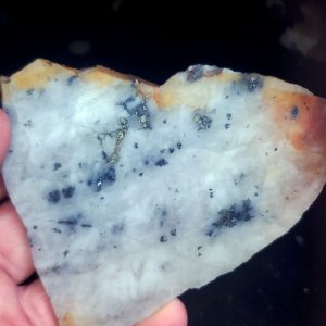 Golden Griffin Slab C