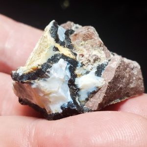 Oreo agate/opal Specimen C