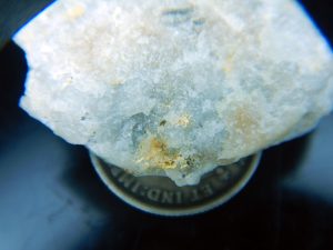 Gold in host 7.6g
