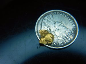 Gold flake .42g