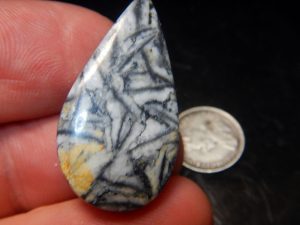 Pinolite Cab 1.25" long