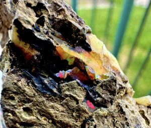 Premium Opal  A  from Video July 2026