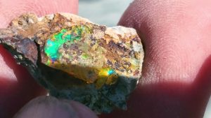 Opal