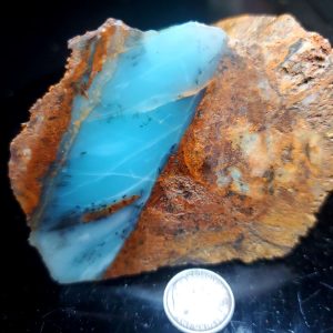 Dayna Blue Specimen M