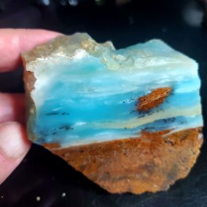 Dayna Blue Specimen F