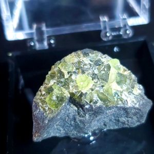 Perky box specimen E