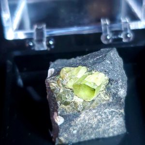 Perky box specimen A