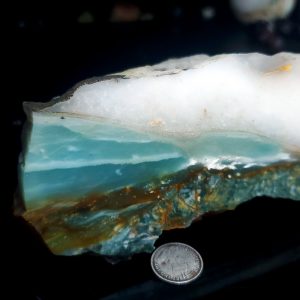 Special Specimen Rock F