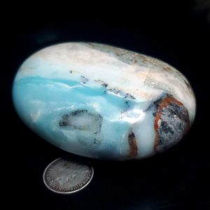 Ocean picture stone Palm stone F