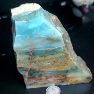 Special Specimen Rock C