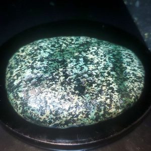 BC Fraser Turquoise palm stone C