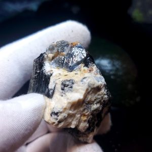 Blue Jay sapphire from August video specimen E