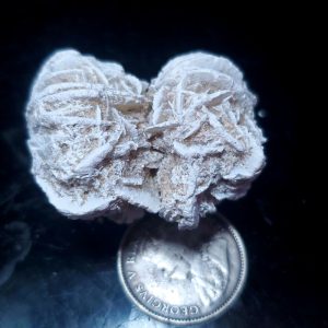 Desert Rose 49 ct