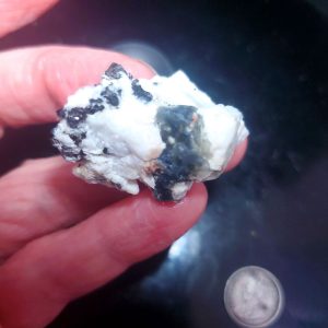 Blue Jay sapphire from August video specimen F