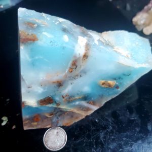 Dayna Blue Specimen F