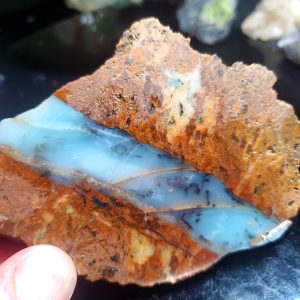 Dayna Blue Specimen E