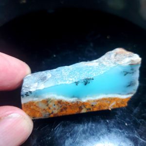Dayna Blue Specimen W