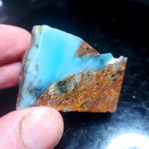 Dayna Blue Specimen K