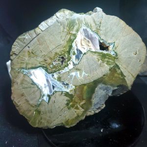 Thunder Egg - specimen Z