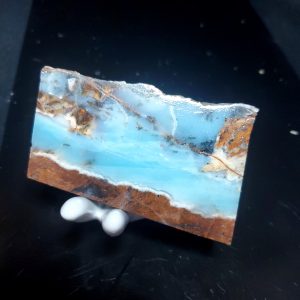 Dayna Blue Specimen P