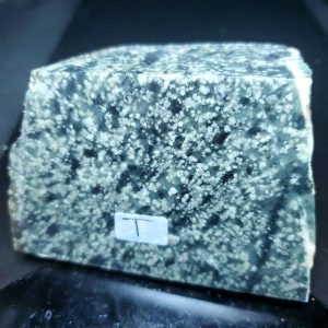 BC Soapstone specimen T