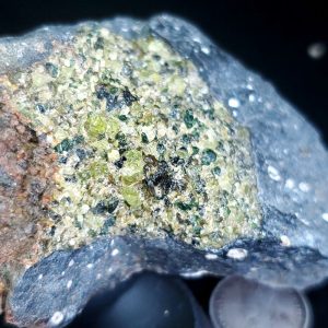 Peridot Xenolith L