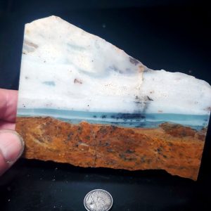 Special Specimen Rock D