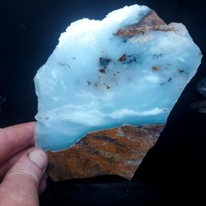 Dan's Pick - Slab! C