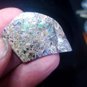 Ammolite Specimen - Small C