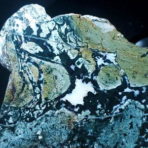 Dallasite - Specimen Rock P