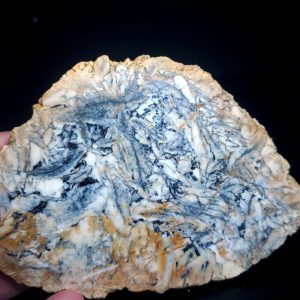 Pinolite slab Y