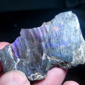 Ammolite Specimen - Small H