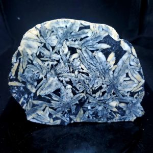 Dan's pick Pinolite specimen B