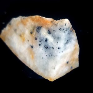 Golden Griffin Slab P