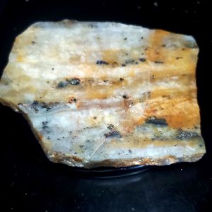 Golden Griffin Slab D