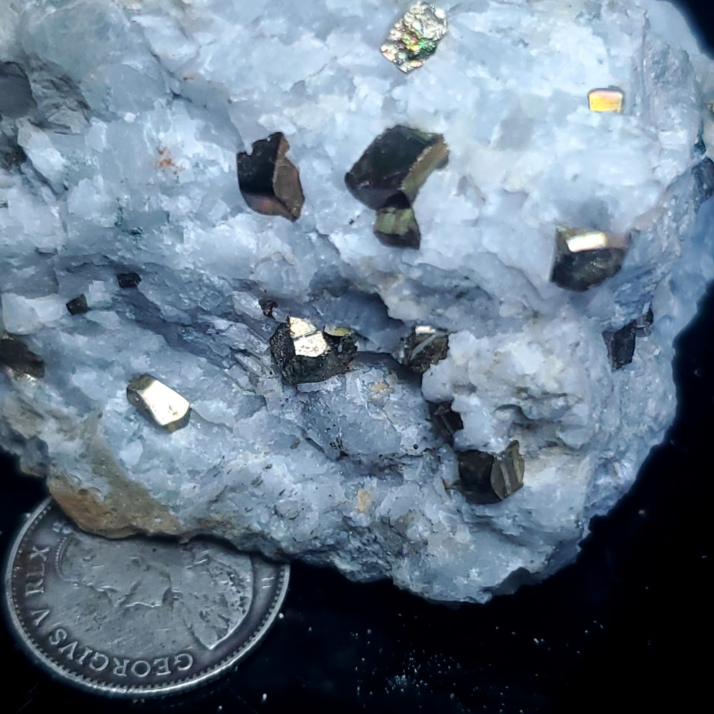 Pyrite in quartz 1.5" across