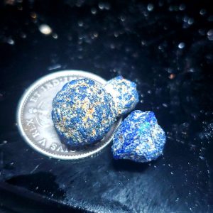 Azurite blueberries 8.5ct