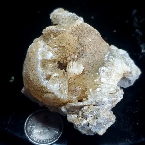 Fort Drum specimen 1.5" across