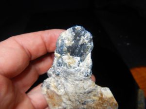 Blue Jay sapphire from August video specimen D