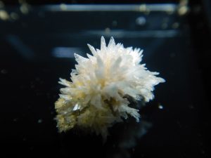 Aragonite crystal specimen J