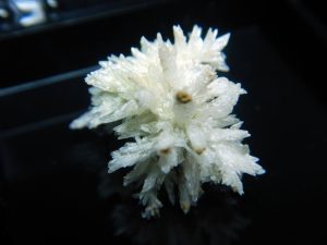 Apex specimens as seen in video